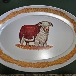 Vintage Melaminie Platter